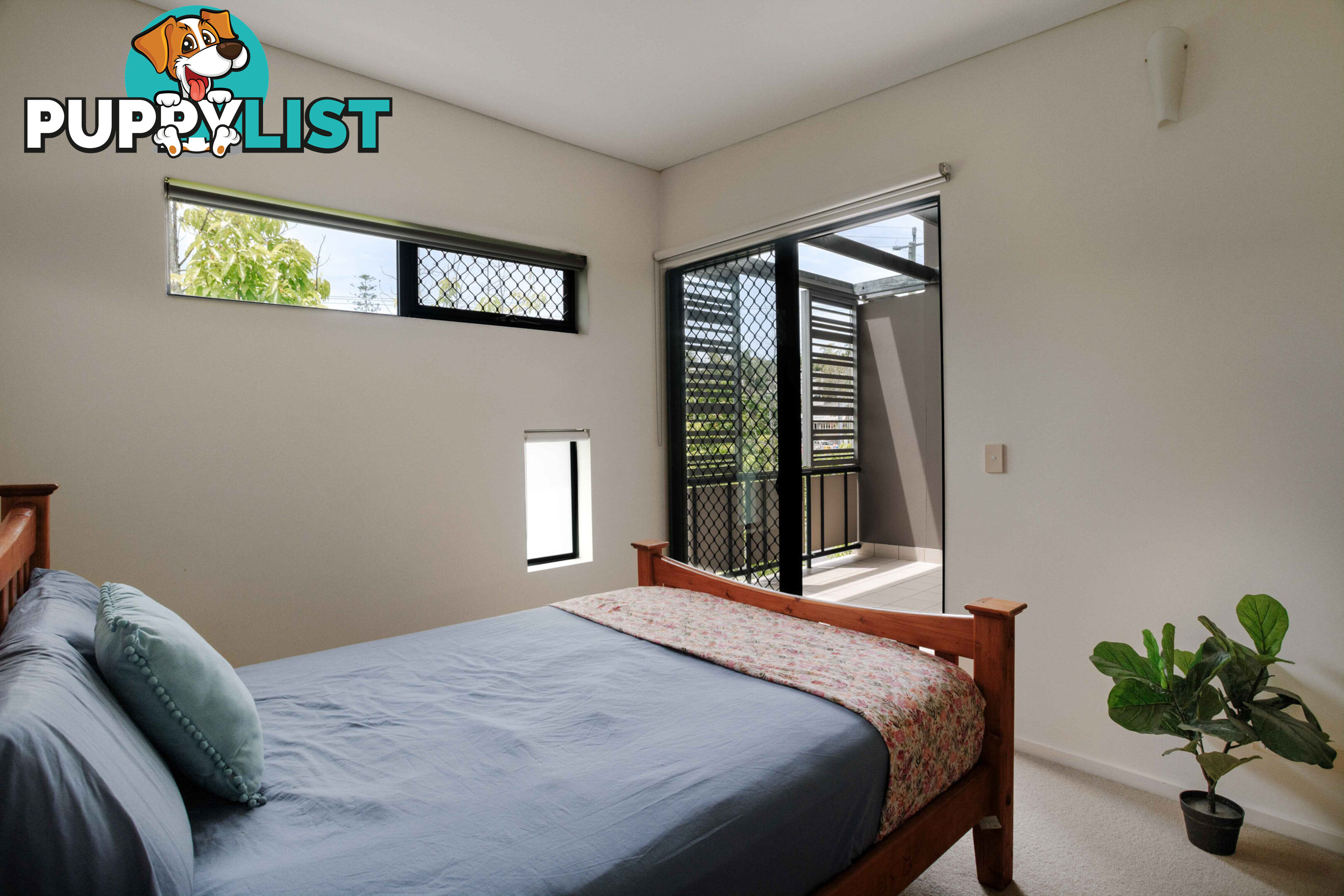 ID:21158396 38 Brougham Street Fairfield QLD 4103
