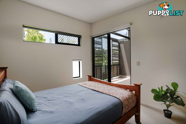 ID:21158396 38 Brougham Street Fairfield QLD 4103