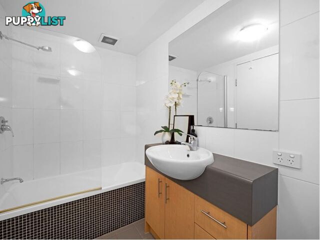 ID:21158396 38 Brougham Street Fairfield QLD 4103