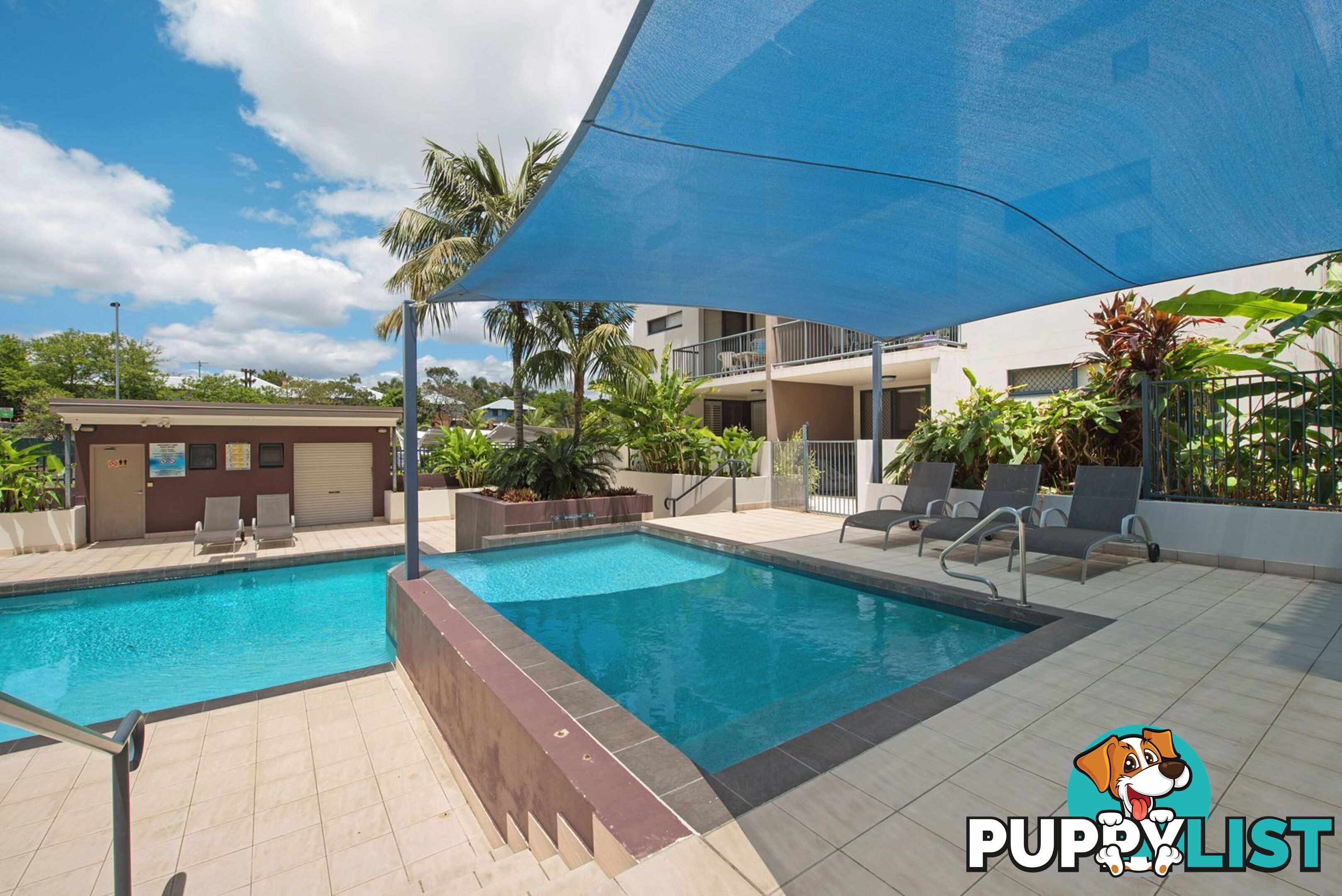 ID:21158396 38 Brougham Street Fairfield QLD 4103