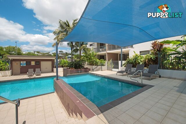 ID:21158396 38 Brougham Street Fairfield QLD 4103