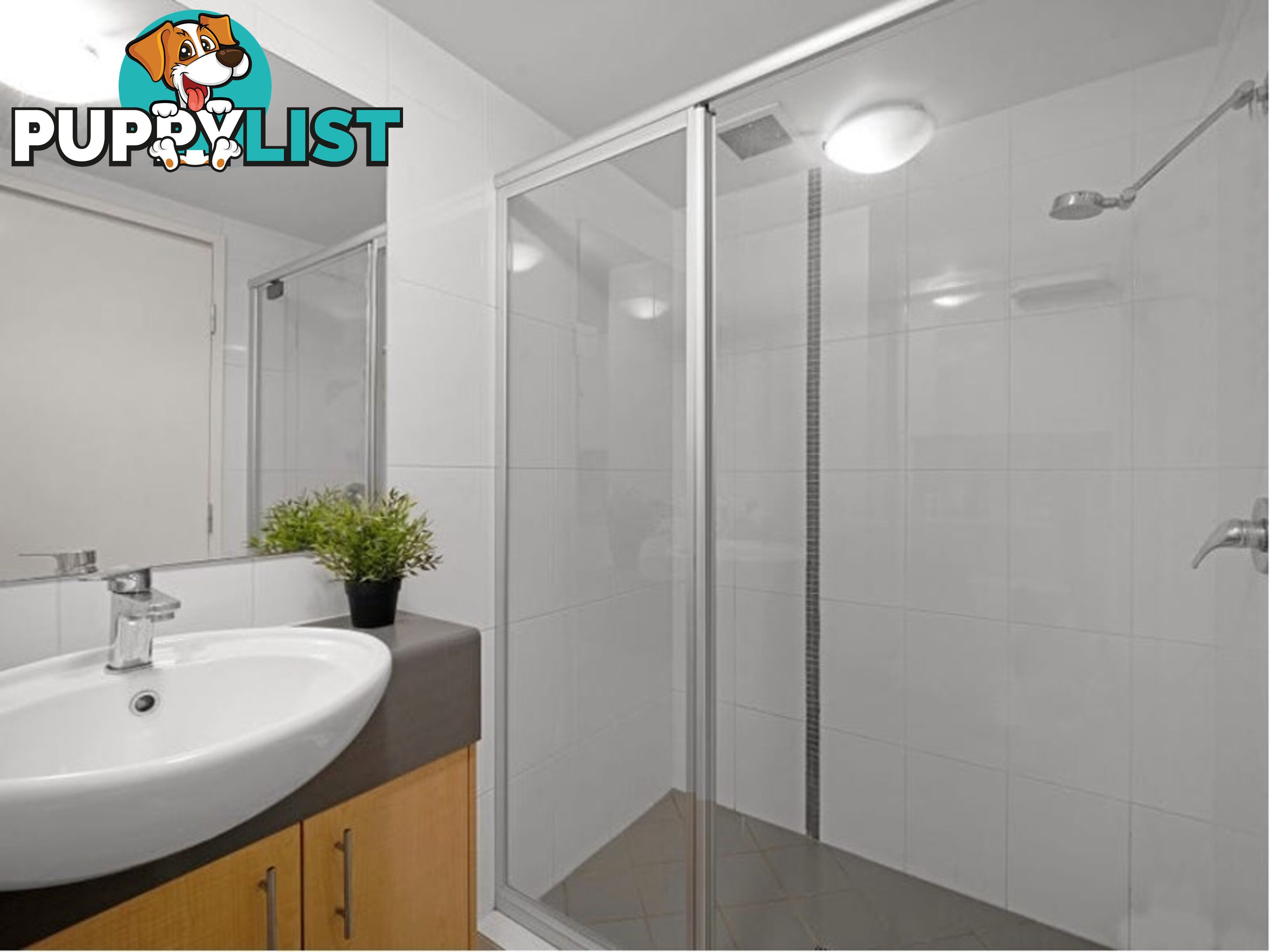 ID:21158396 38 Brougham Street Fairfield QLD 4103