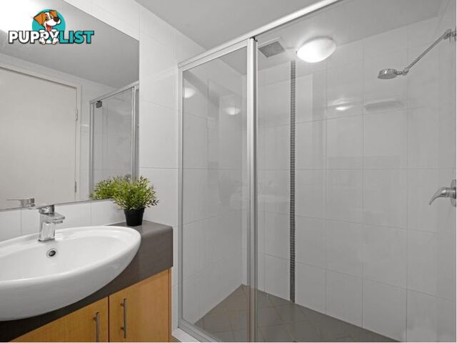 ID:21158396 38 Brougham Street Fairfield QLD 4103