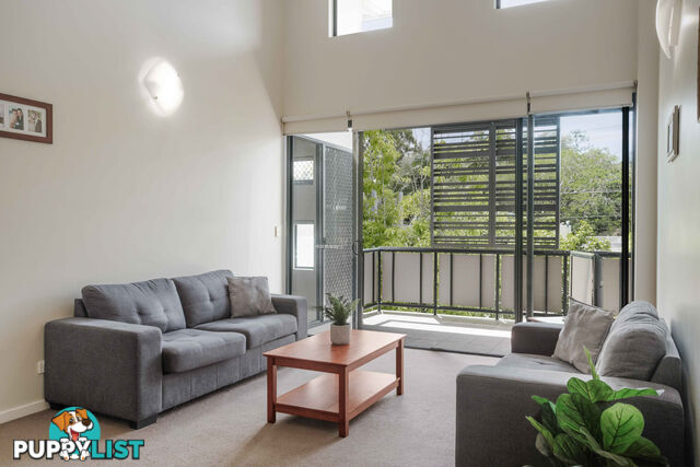 ID:21158396 38 Brougham Street Fairfield QLD 4103