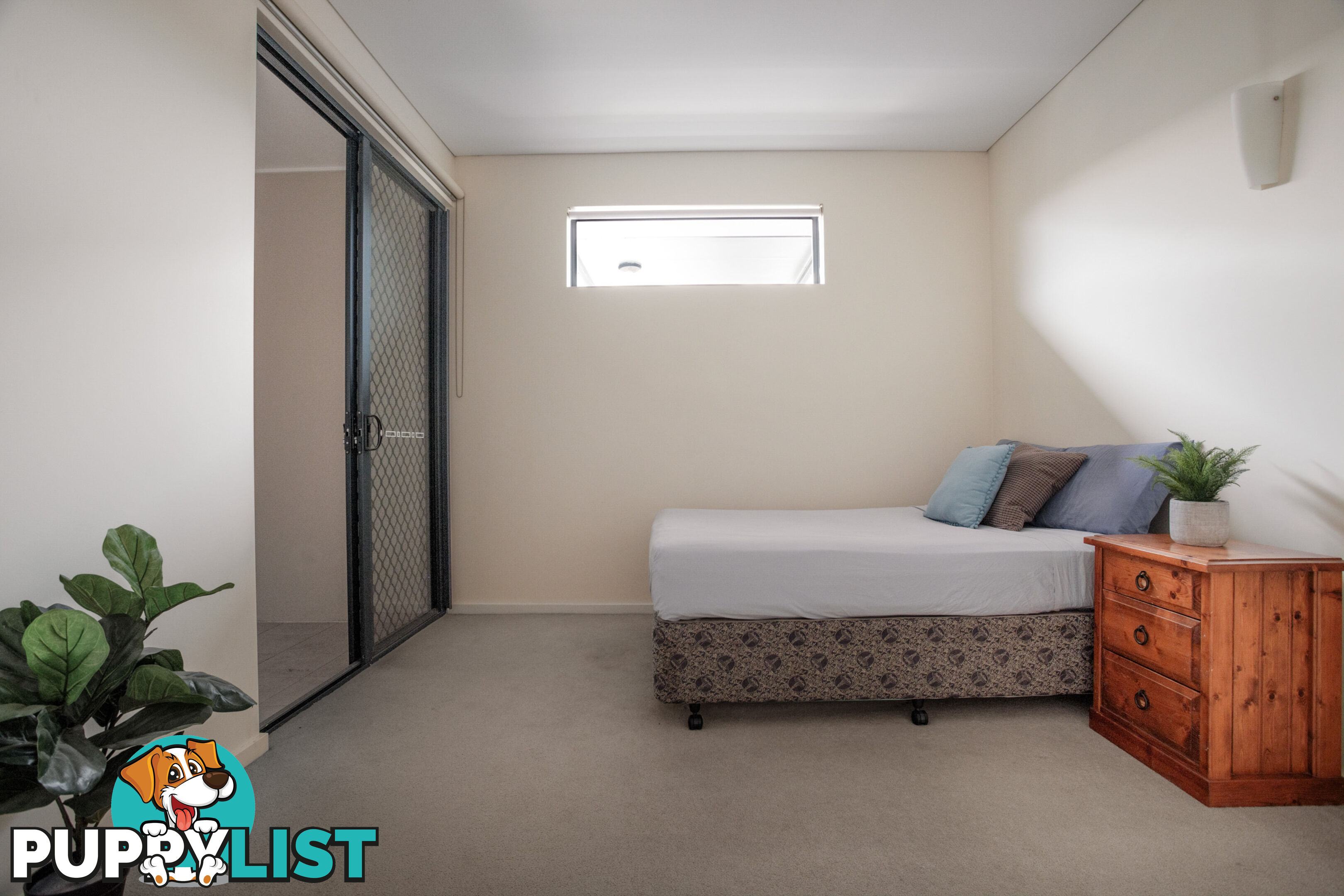 ID:21158396 38 Brougham Street Fairfield QLD 4103