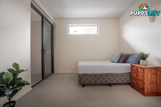 ID:21158396 38 Brougham Street Fairfield QLD 4103