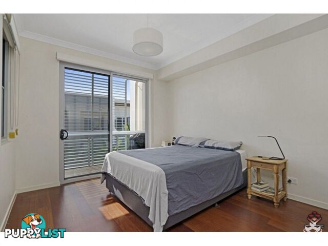 33/16 Corio Street Bulimba QLD 4171