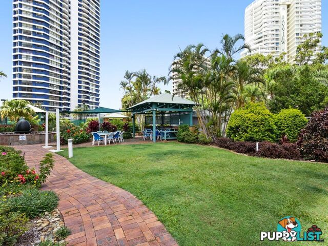 21 Bayview Street Runaway Bay QLD 4216
