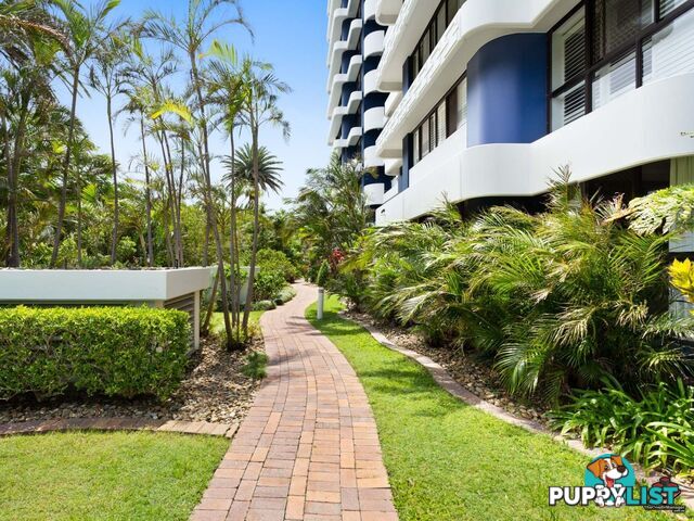 21 Bayview Street Runaway Bay QLD 4216