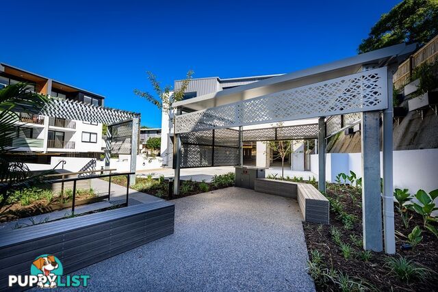 ID:21115713 88 Waldheim Street Annerley QLD 4103