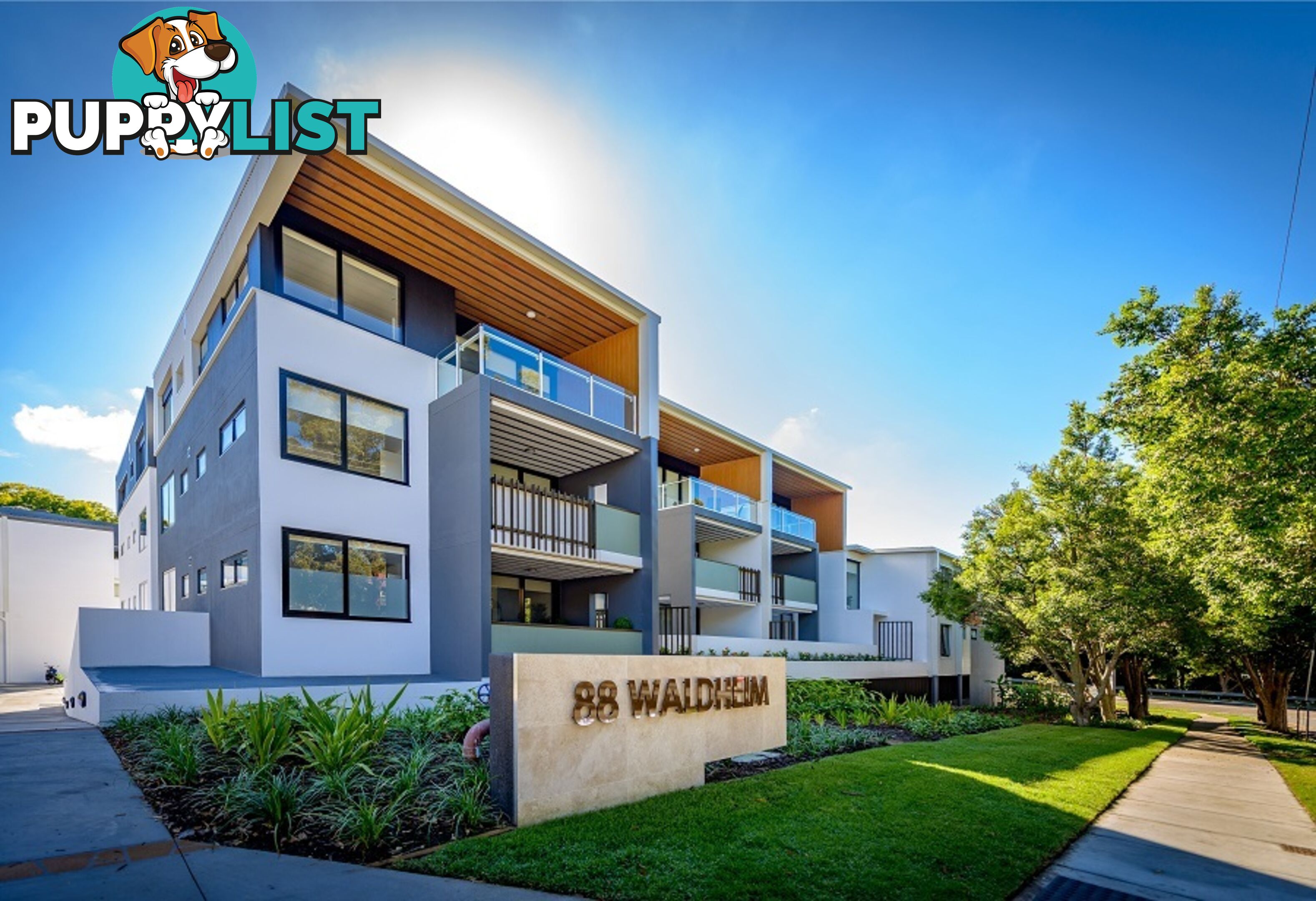 ID:21115713 88 Waldheim Street Annerley QLD 4103