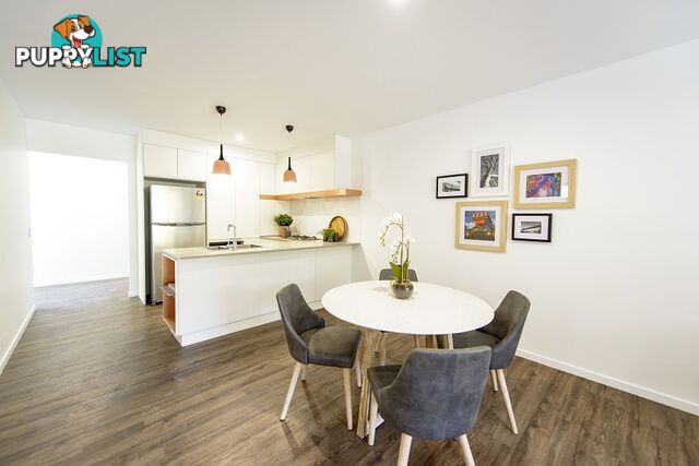 ID:21115713 88 Waldheim Street Annerley QLD 4103