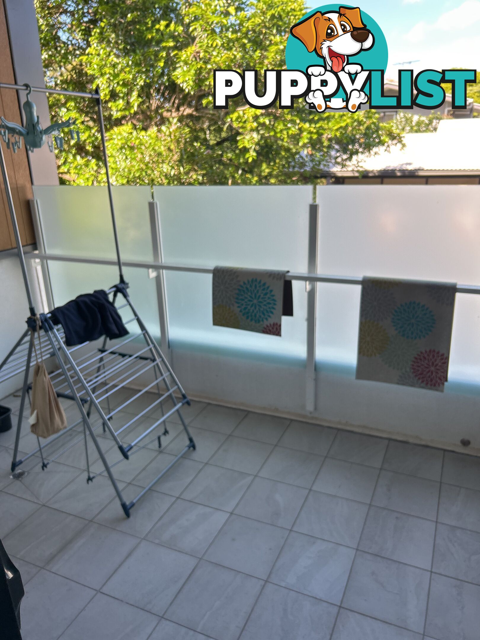 ID:21115713 88 Waldheim Street Annerley QLD 4103
