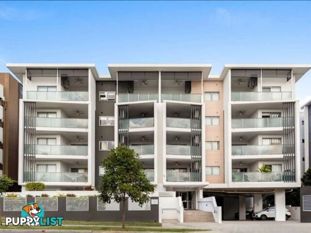 ID:21119245 17-21 Mayhew Street Sherwood QLD 4075