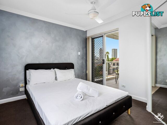 ID:21155885 96 Stanhill Drive Surfers Paradise QLD 4217