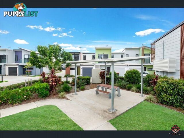 ID:21068139/61 Caboolture River Road Morayfield QLD 4506