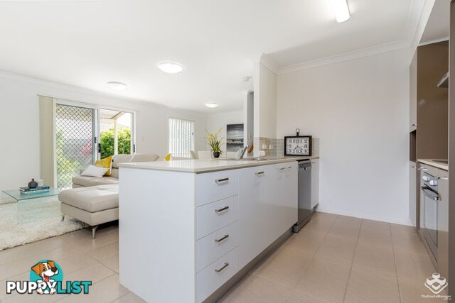 ID:21157983 12 Kimberley Close Redbank Plains Qld 4301