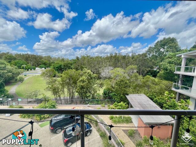 ID:21153393 19 Carina Peak Drive Carina Peak Drive Varsity Lakes QLD 4227