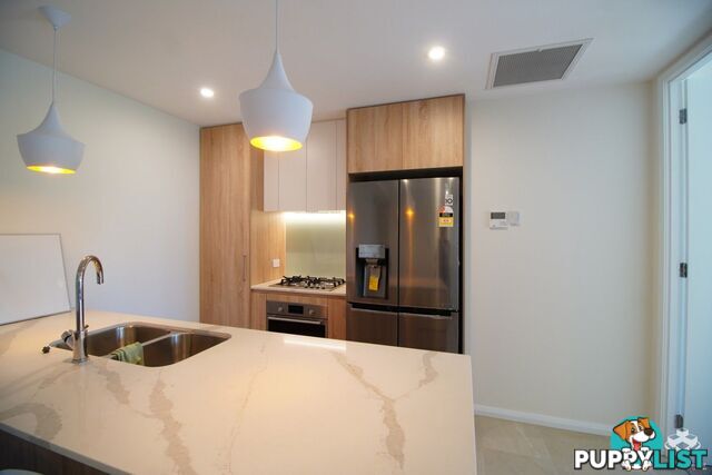 ID:21155047 131 Sir Fred Schonell Drive St Lucia QLD 4067
