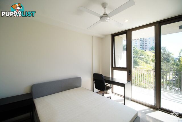 ID:21155047 131 Sir Fred Schonell Drive St Lucia QLD 4067