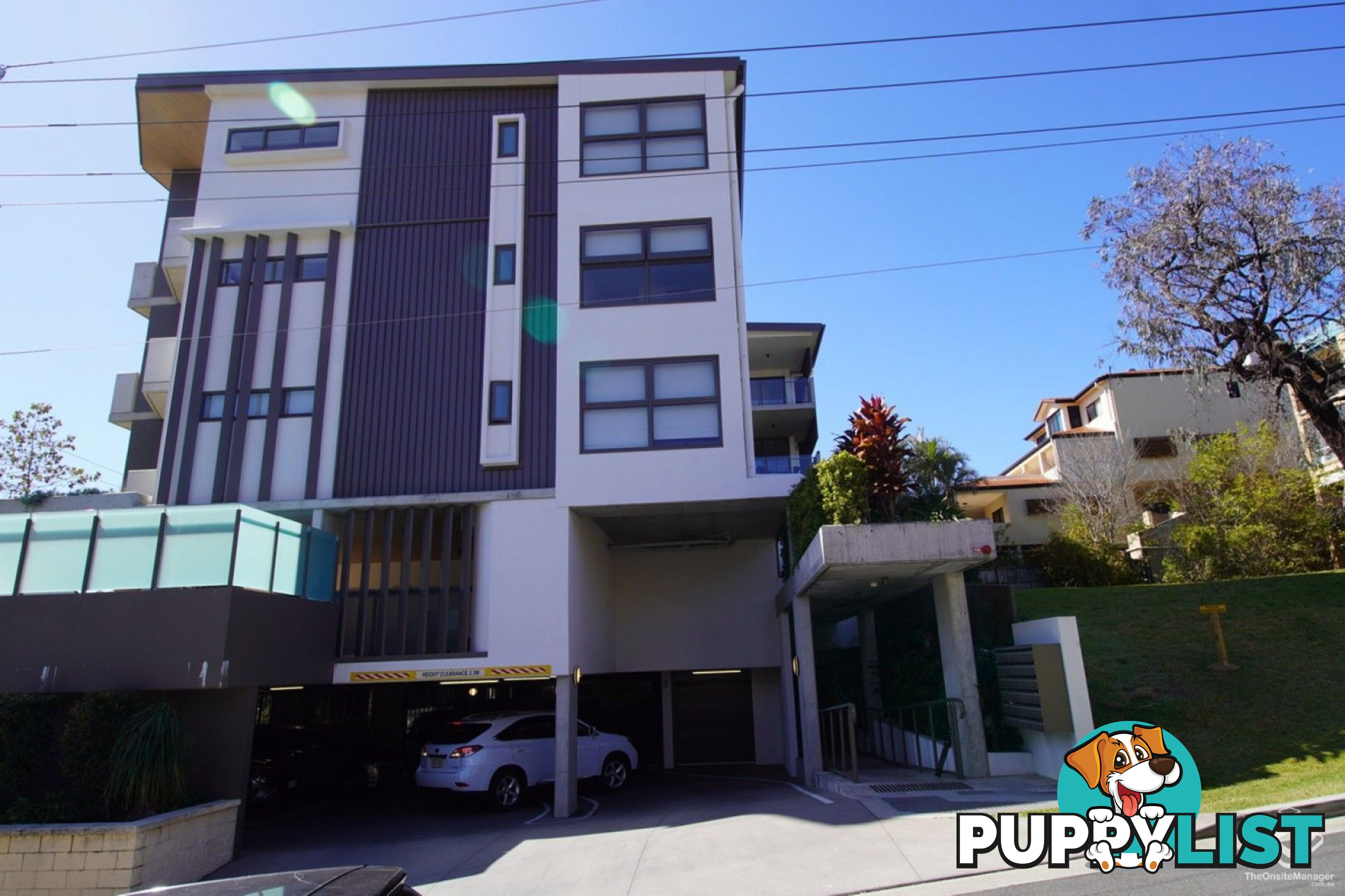 ID:21155047 131 Sir Fred Schonell Drive St Lucia QLD 4067