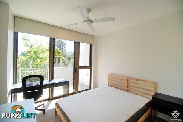 ID:21155047 131 Sir Fred Schonell Drive St Lucia QLD 4067