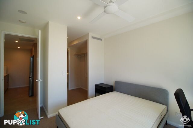 ID:21155047 131 Sir Fred Schonell Drive St Lucia QLD 4067