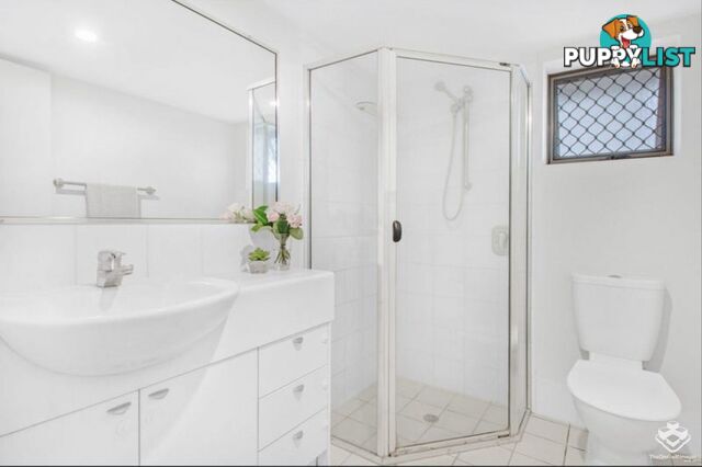 ID:21153448 7 Landsborough Terrace Toowong QLD 4066