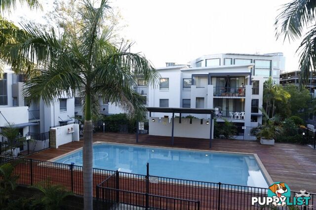 ID:21153448 7 Landsborough Terrace Toowong QLD 4066