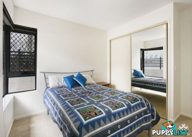 ID:21153448 7 Landsborough Terrace Toowong QLD 4066