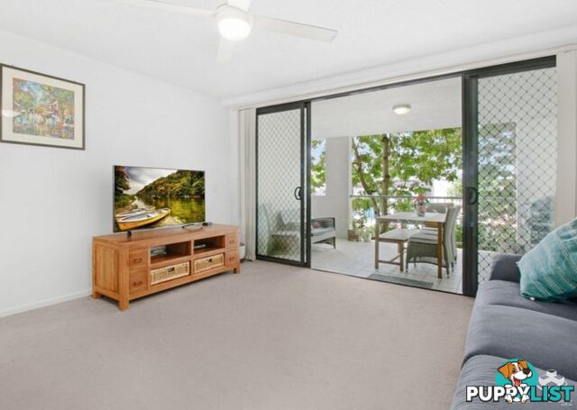 ID:21153448 7 Landsborough Terrace Toowong QLD 4066