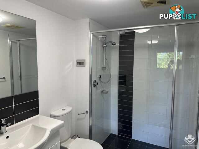 213/4 Paddington Terrace Douglas QLD 4814