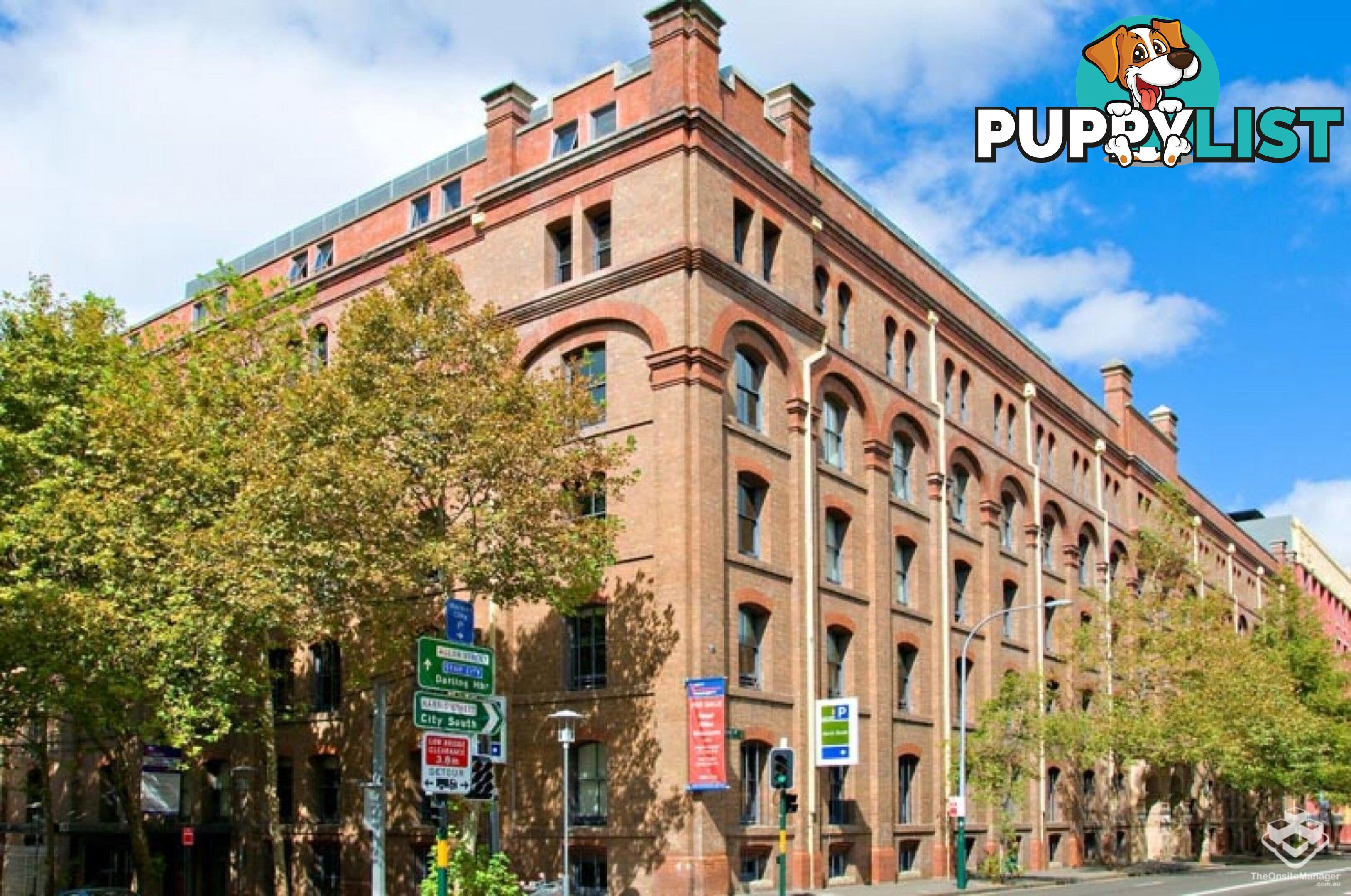 110/320 Harris Street Pyrmont NSW 2009