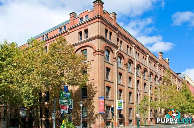 110/320 Harris Street Pyrmont NSW 2009