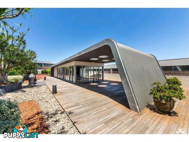 110/320 Harris Street Pyrmont NSW 2009