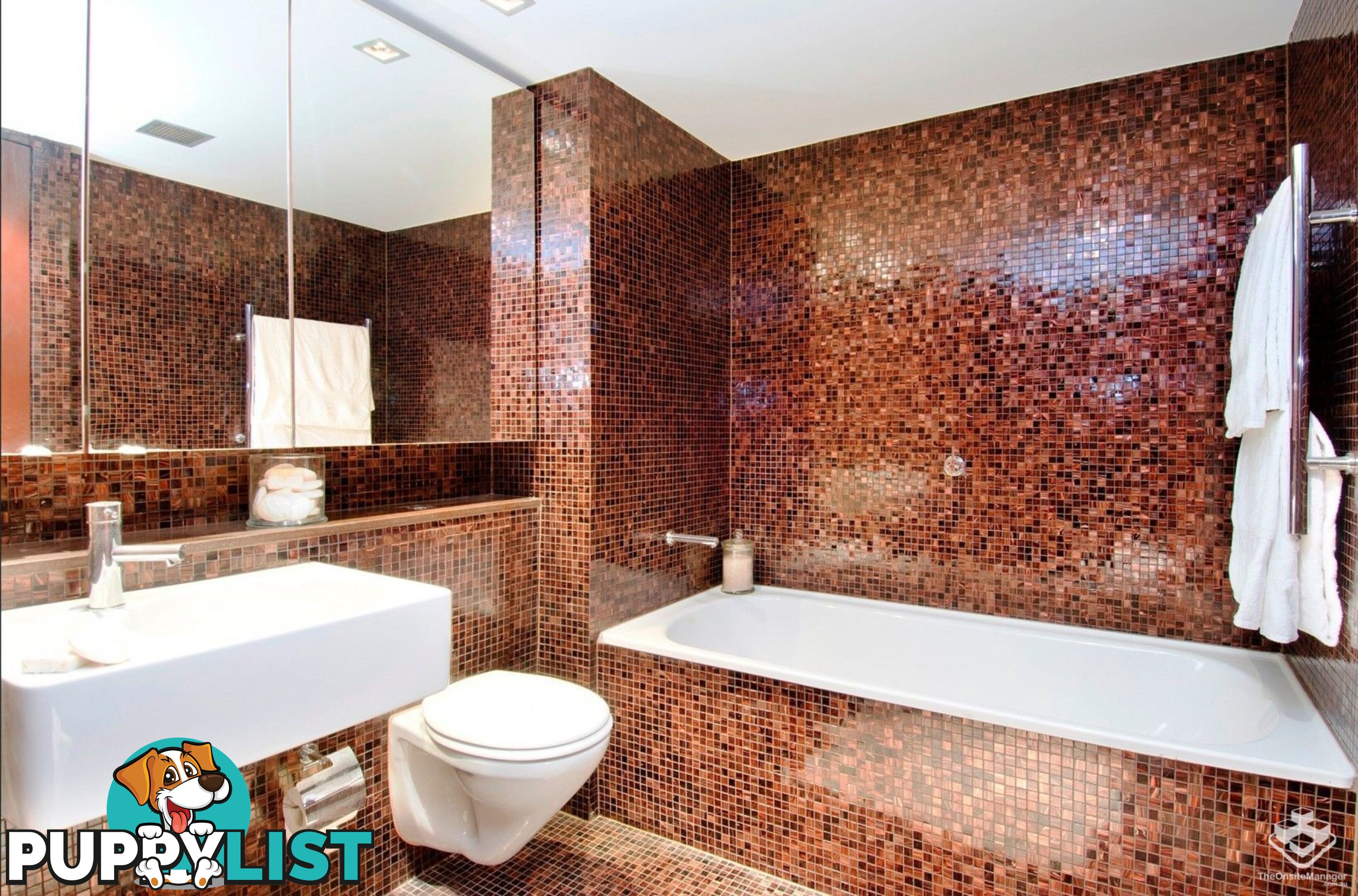 110/320 Harris Street Pyrmont NSW 2009