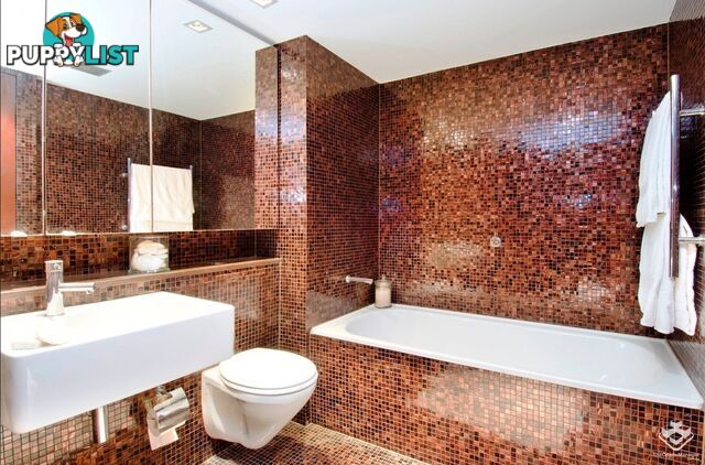110/320 Harris Street Pyrmont NSW 2009
