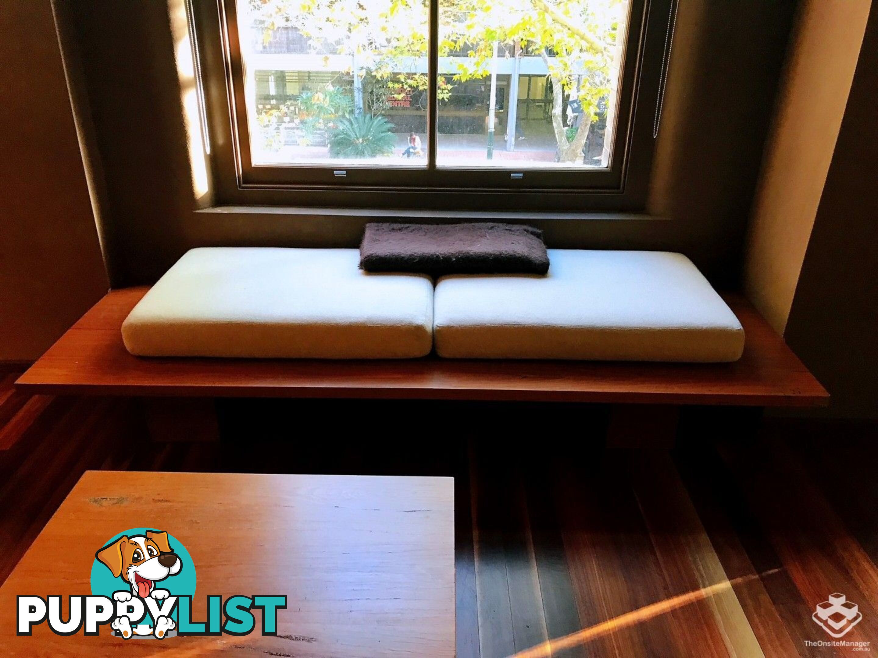 110/320 Harris Street Pyrmont NSW 2009