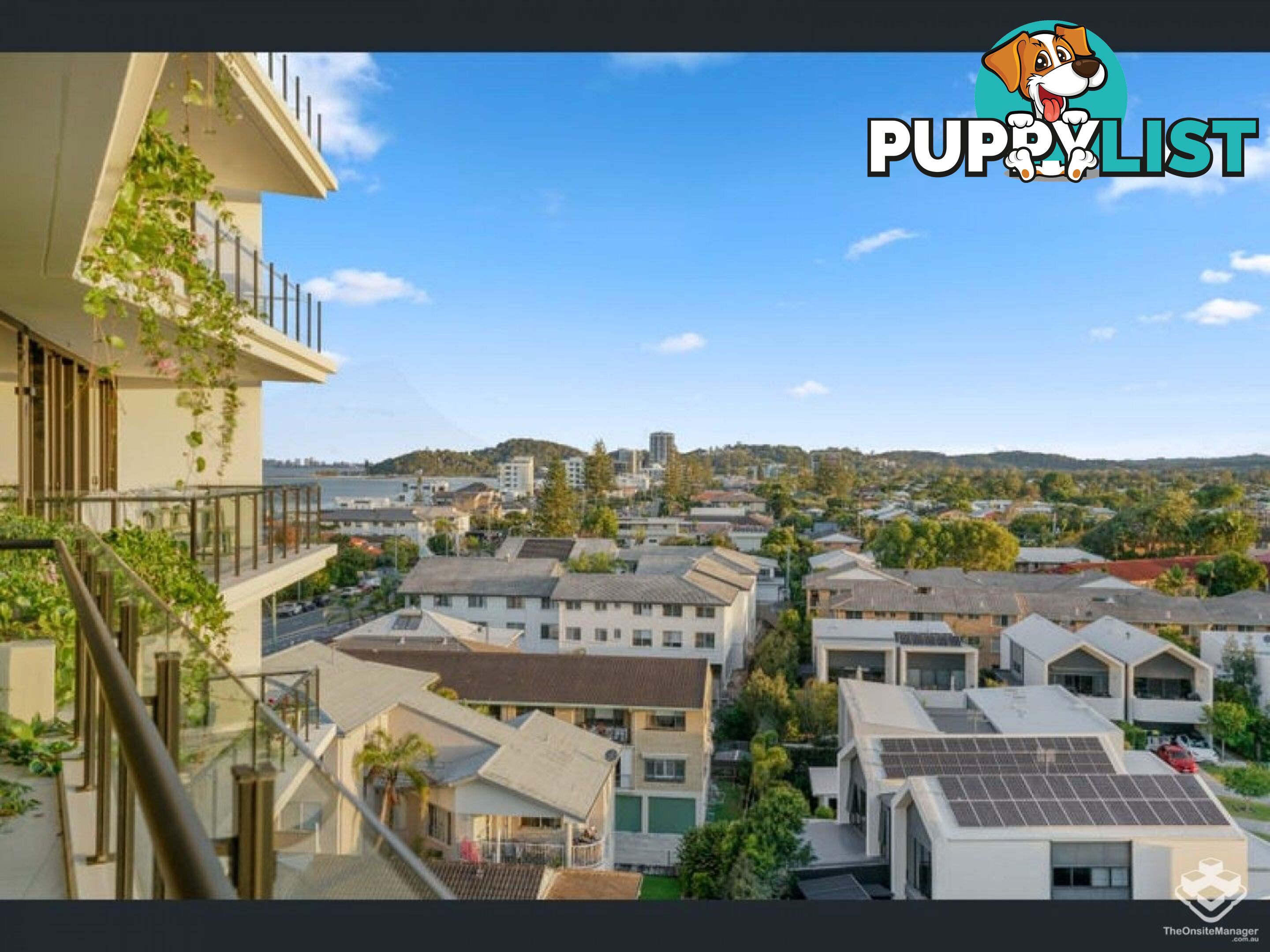 ID:21150292 1328 Gold Coast Highway Palm Beach QLD 4221