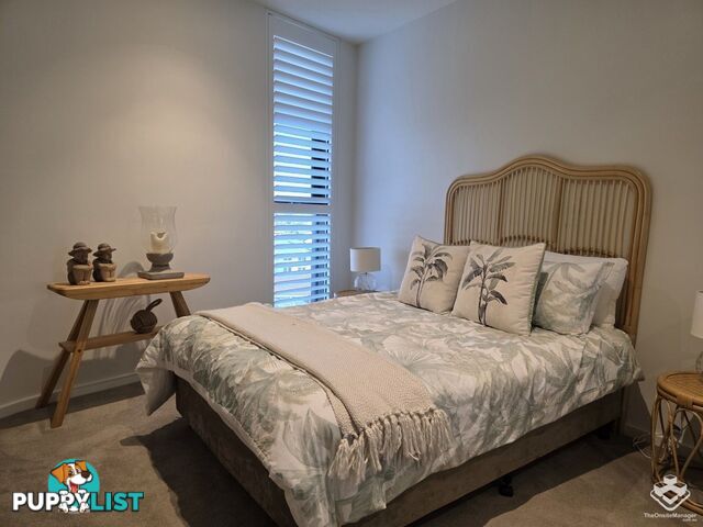 ID:21150292 1328 Gold Coast Highway Palm Beach QLD 4221