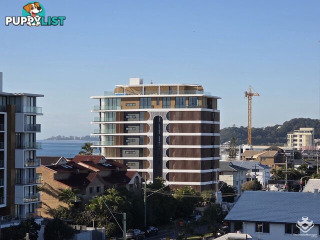 ID:21150292 1328 Gold Coast Highway Palm Beach QLD 4221