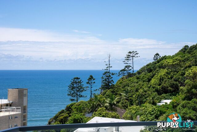 ID:21144944/45 Hayle Street Burleigh Heads QLD 4220