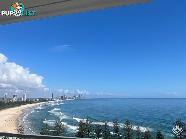 ID:21144944/45 Hayle Street Burleigh Heads QLD 4220