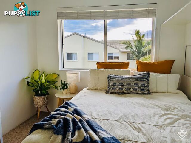 ID:21147710 15 Burleigh Road Burleigh Heads QLD 4220