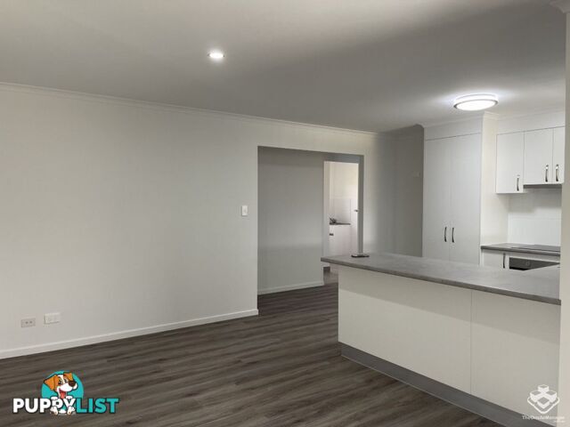 Eli Waters QLD 4655