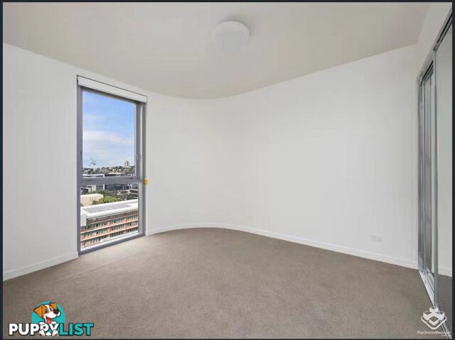ID:21153050 58 Hope Street South Brisbane QLD 4101