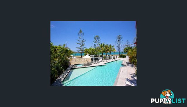 ID:21141649 438 Marine Parade Biggera Waters QLD 4216