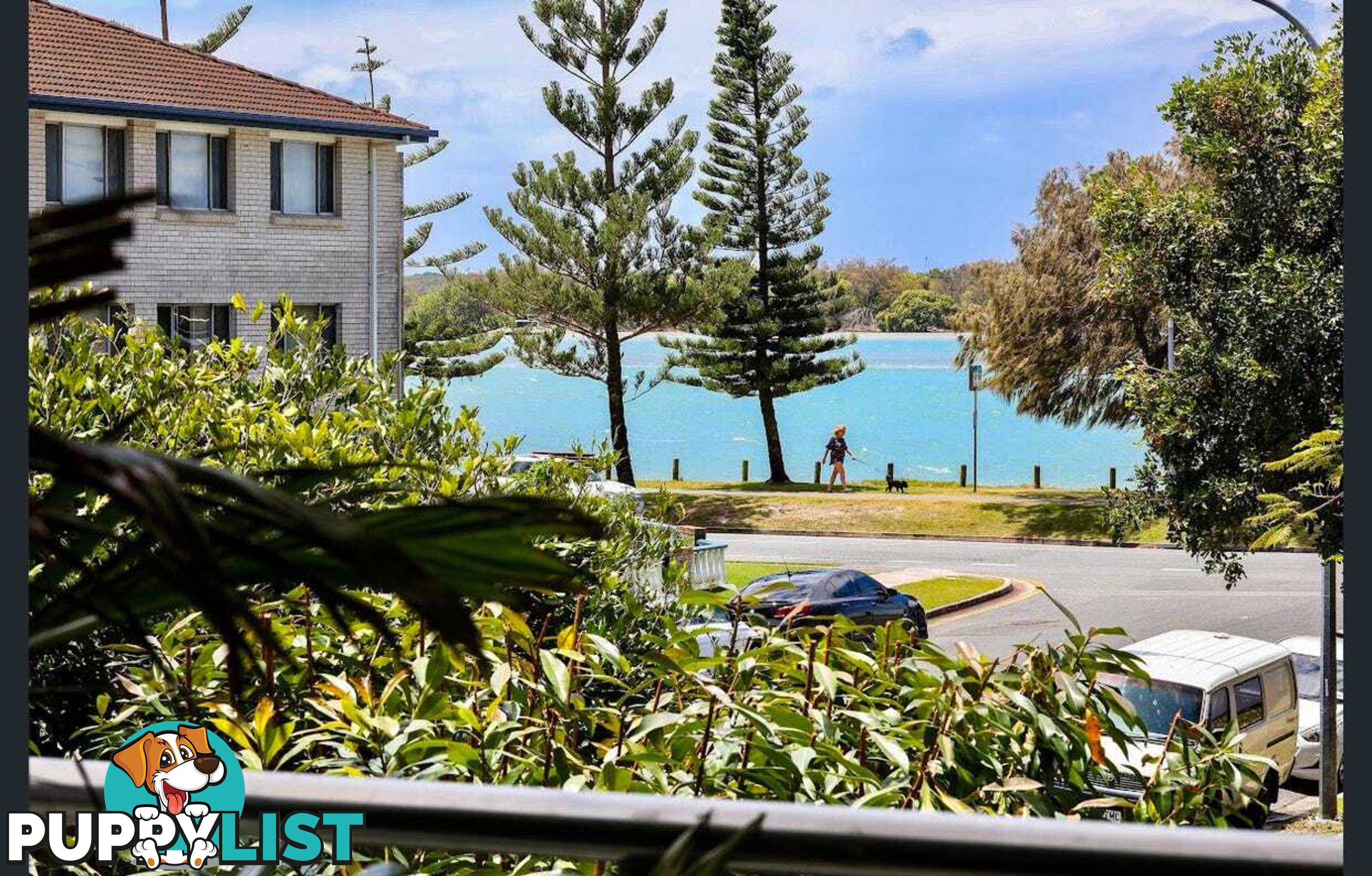 ID:21141649 438 Marine Parade Biggera Waters QLD 4216