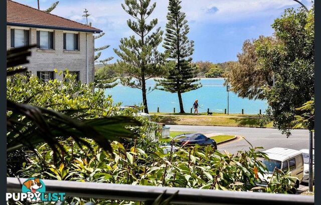 ID:21141649 438 Marine Parade Biggera Waters QLD 4216