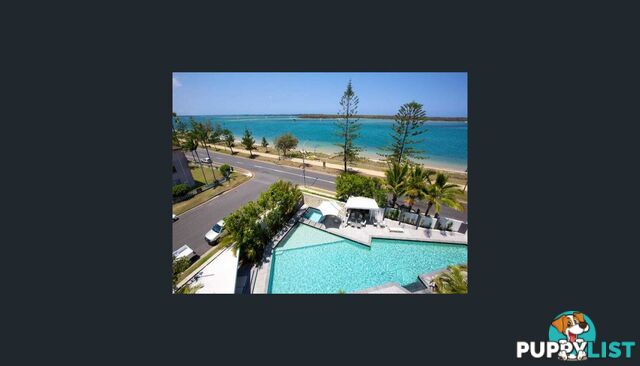 ID:21141649 438 Marine Parade Biggera Waters QLD 4216